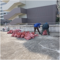 꿈꾸는 페인트 PC 갤러리 8